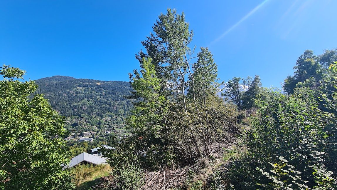 The steep plot that we almost bought